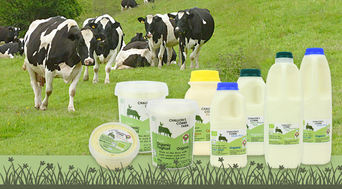 challons combe organic dairy products in devon